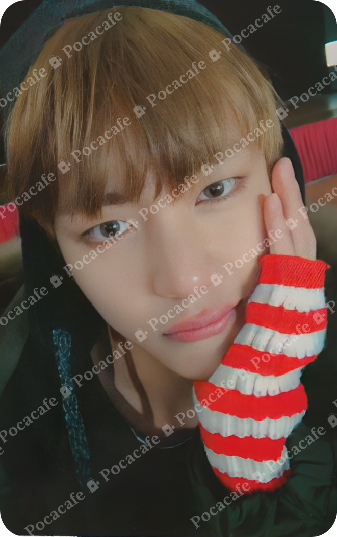 YOU NEVER WALK ALONE