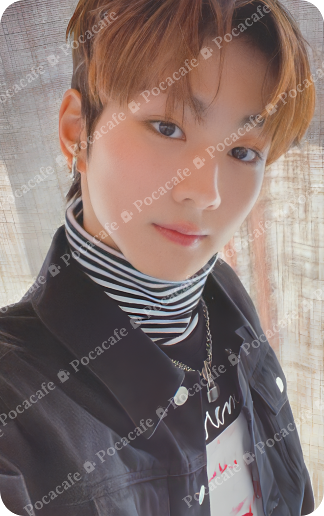 BORDER: CARNIVAL HYPE