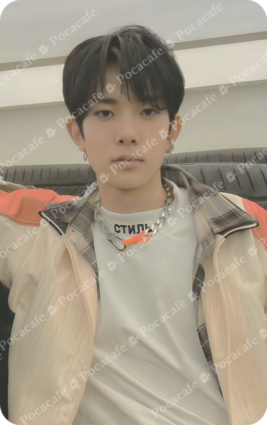 BORDER: CARNIVAL DOWN