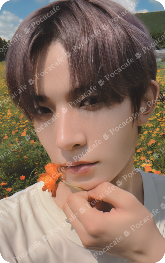 ORANGE BLOOD WEVERSE