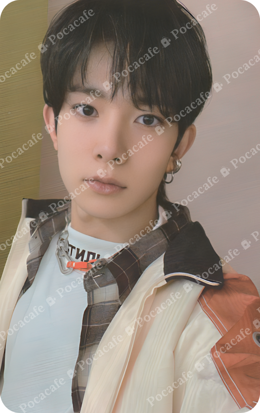 BORDER: CARNIVAL DOWN