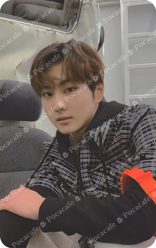 BORDER: CARNIVAL DOWN