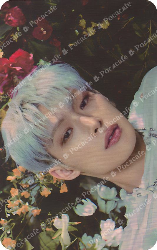 GOLDEN HOUR PART 2 POCA ALBUM TO VER QR CARD