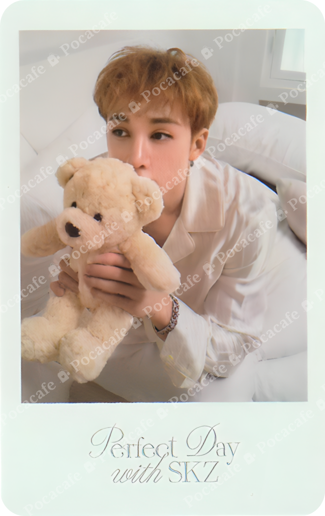 SEASONS GREETINGS 2024 POLAROID