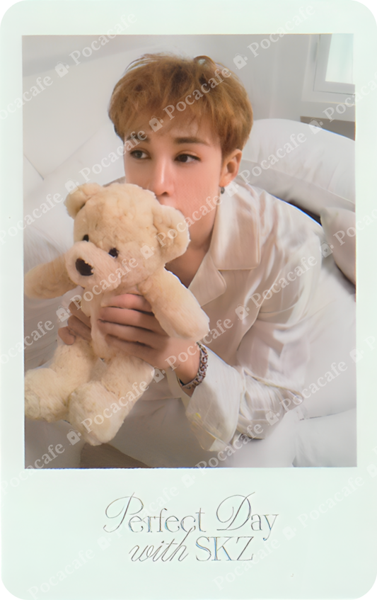 SEASONS GREETINGS 2024 POLAROID