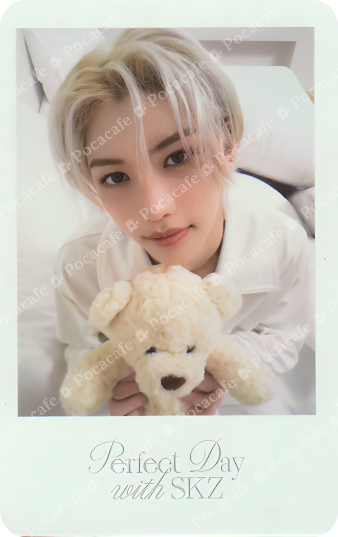 SEASONS GREETINGS 2024 POLAROID