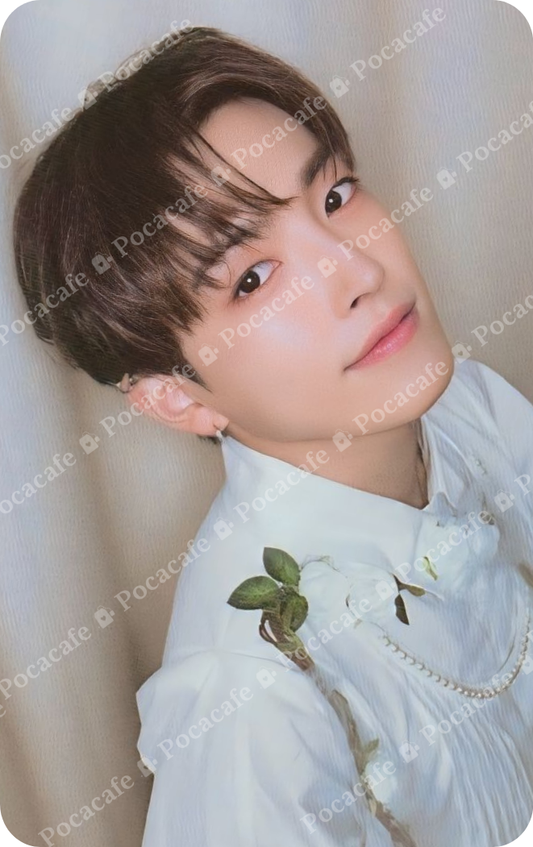 GOLDEN HOUR PART 2 TO VER Z